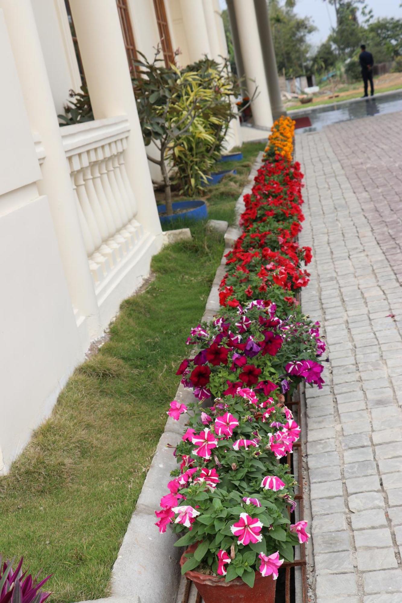 Royale De' Casa Resort Kaziranga Luaran gambar