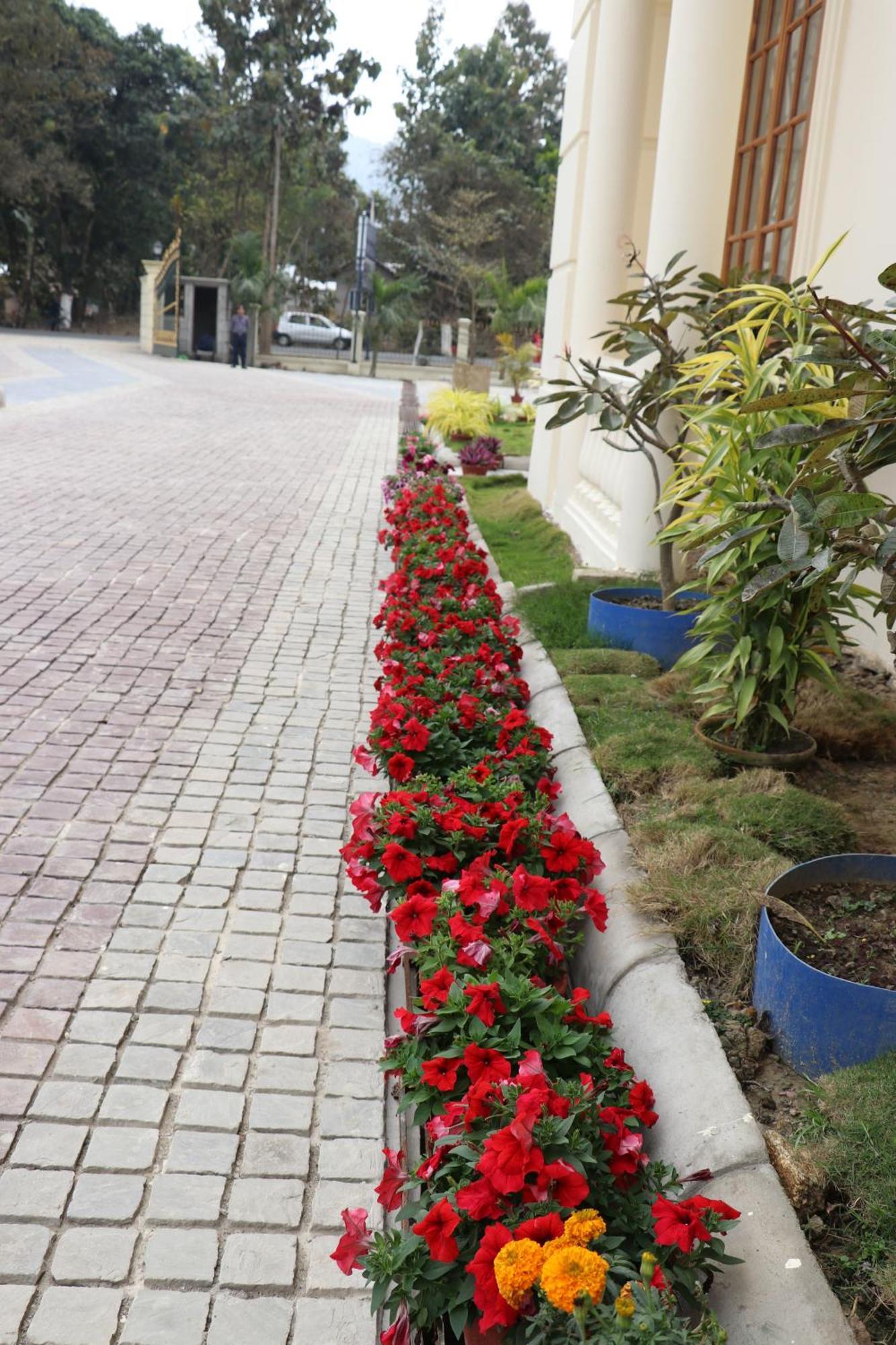 Royale De' Casa Resort Kaziranga Luaran gambar