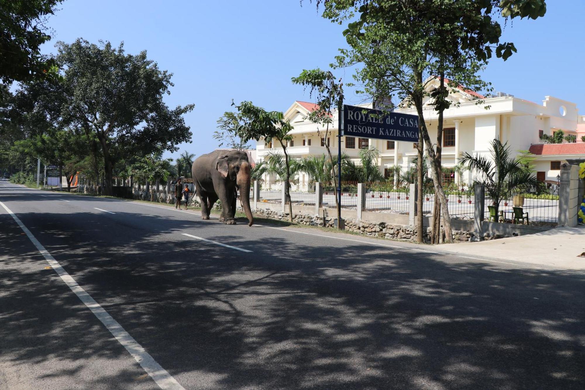 Royale De' Casa Resort Kaziranga Luaran gambar